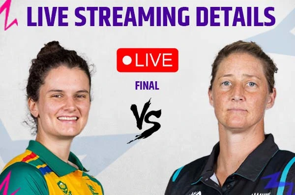 New Zealand win maiden Women’s T20 World Cup: All you need to know