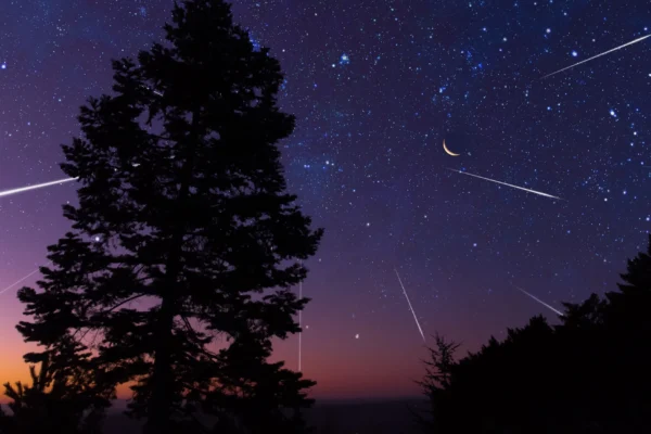 Best Time To Witness The Taurid Meteor Shower A Guide To Stargazers Taurid Meteor Shower