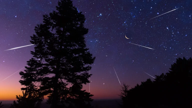 Taurid Meteor Shower