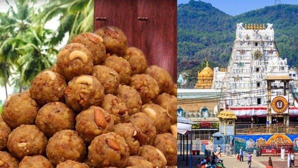 Tirupati Temple Board Holds First Meeting Amid Laddoo Controversy Tirupati Temple Board on Laddoo Controversy