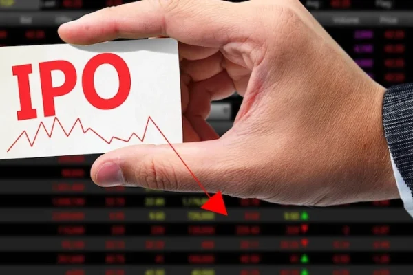 Vishal Mega Mart IPO: Stellar Stock Market Debut with 41% Premium