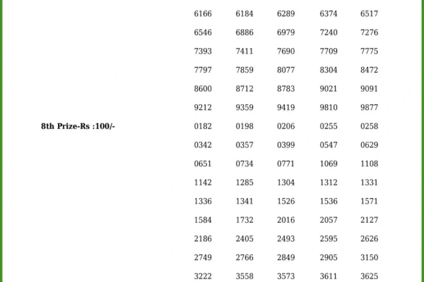 Kerala Lottery Result Today (December 4, 2024): Pooja Bumper BR 100 Winner List Announced
